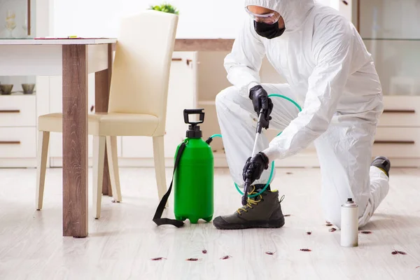 Growing Go Away Pest Control San Antonio Awareness Encourages Better Property Maintenance